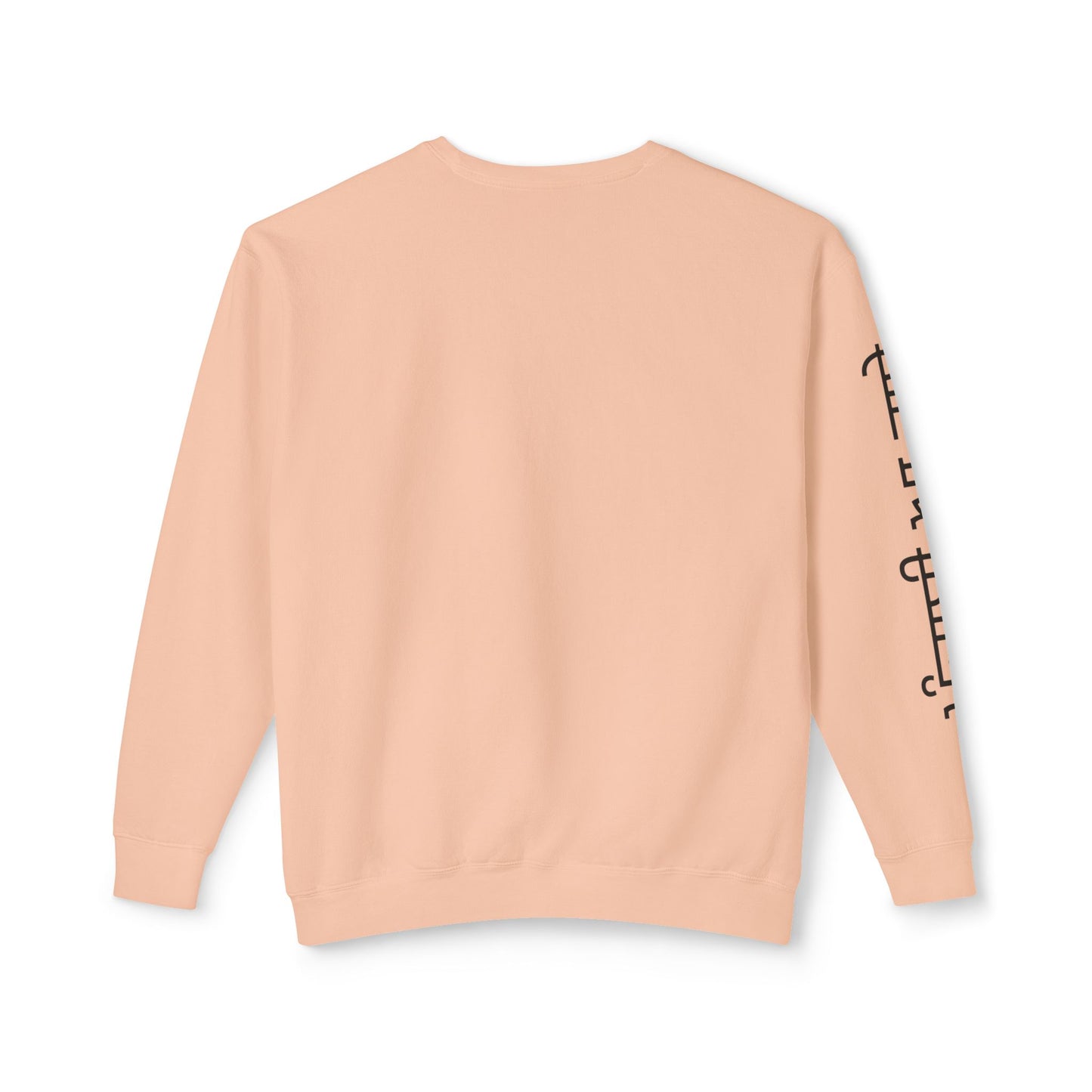 Punjabi Aa Gaye Crewneck Floral + Sleeve