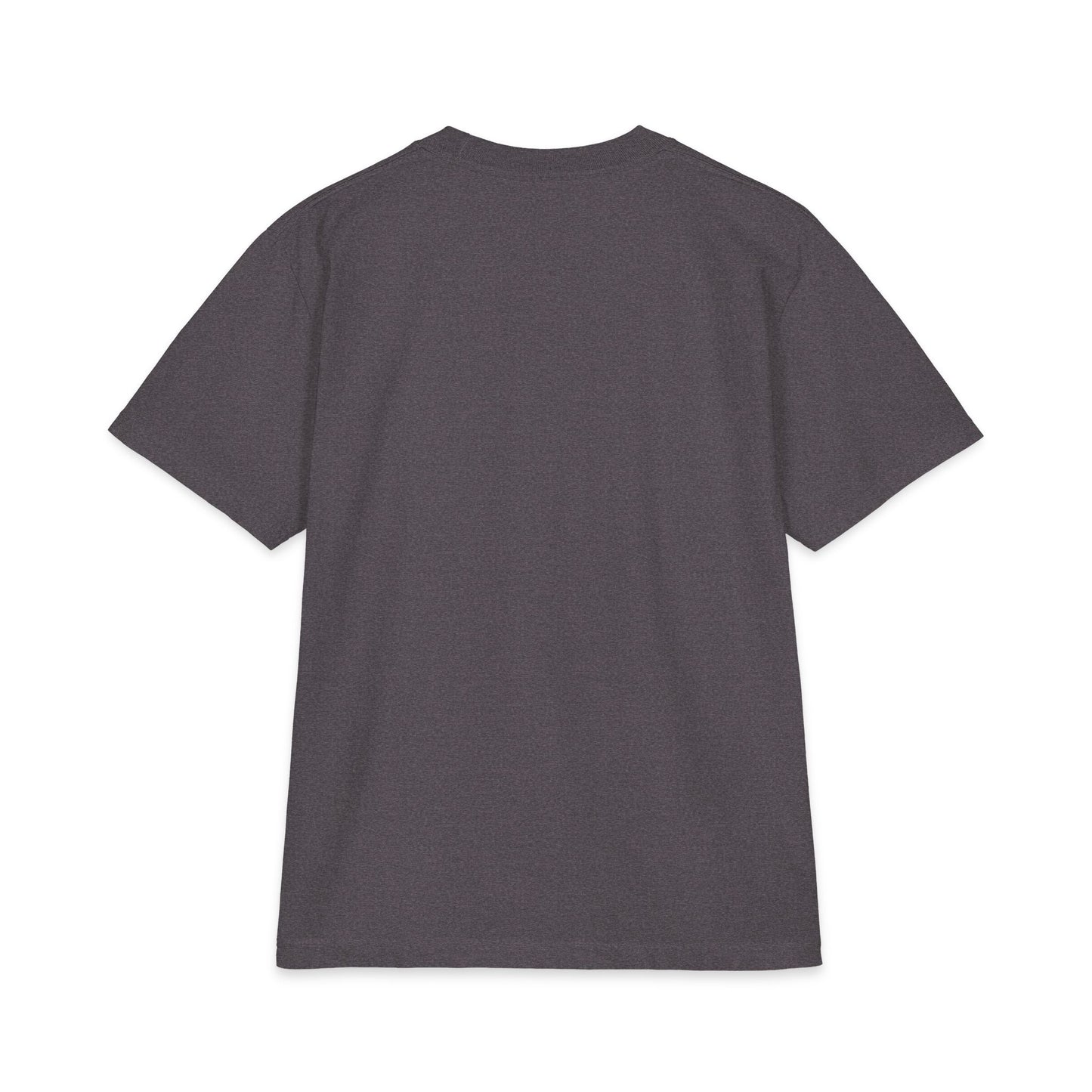 Diljit Dosanjh Graphic Tee — Punjabi Backprint "ਪਜਬ ਆ ਗਏ"