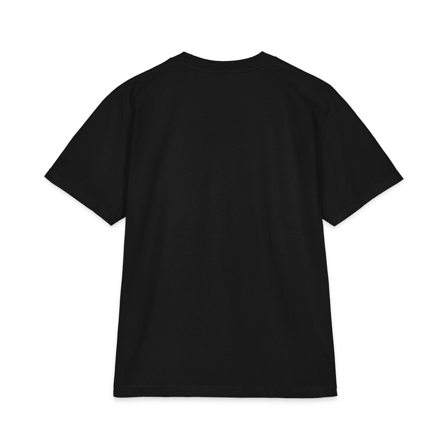 Diljit Dosanjh Graphic Tee — Punjabi Backprint "ਪਜਬ ਆ ਗਏ"